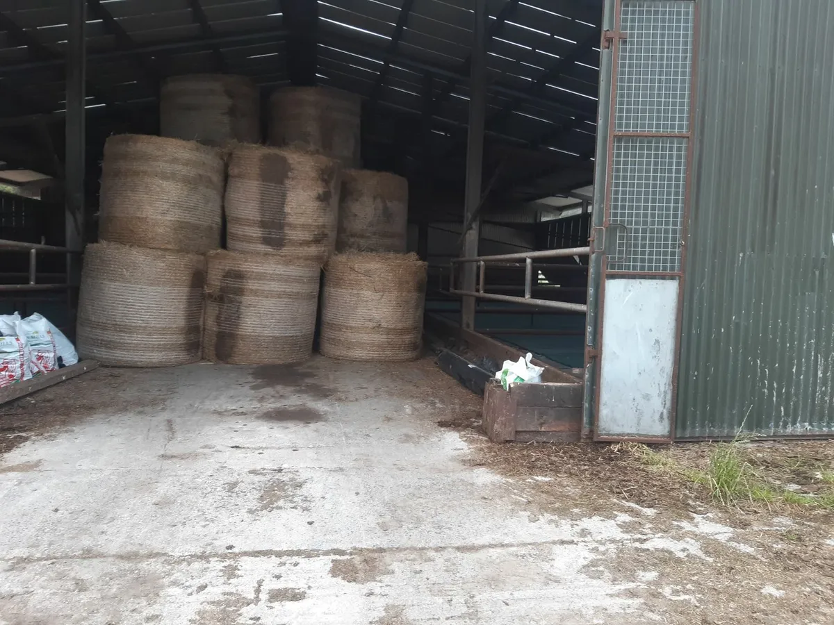 hay
