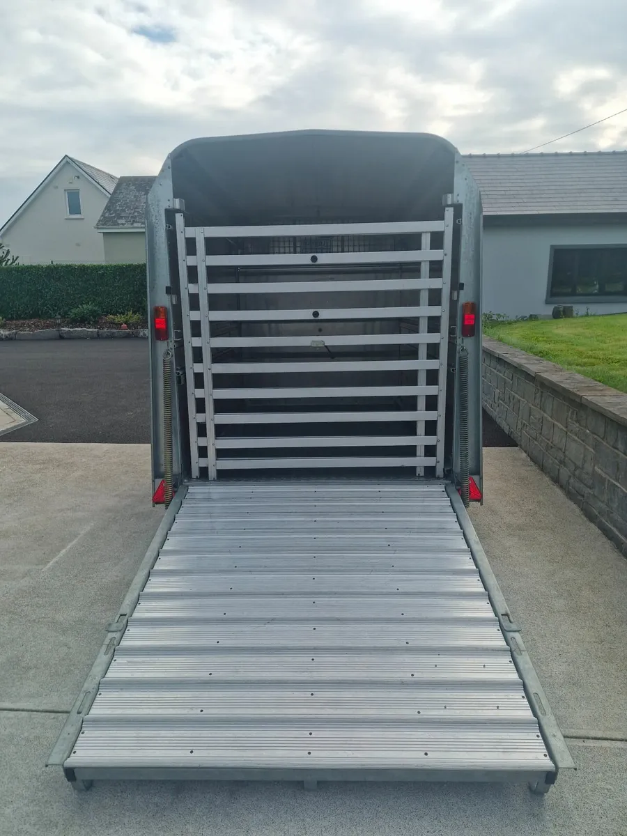 Cattle trailer - Image 3