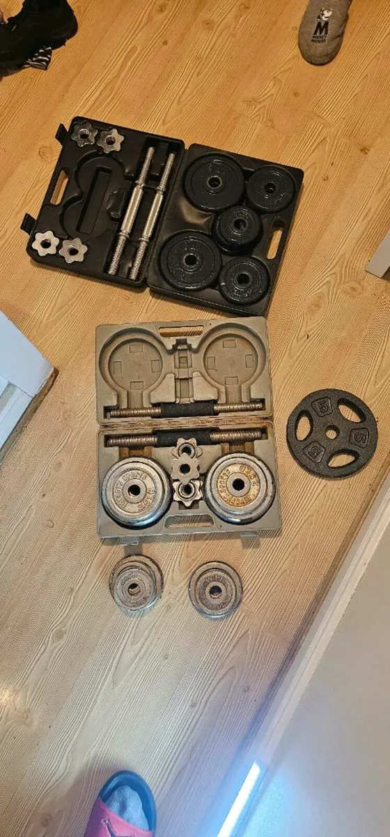 Weights - Image 3