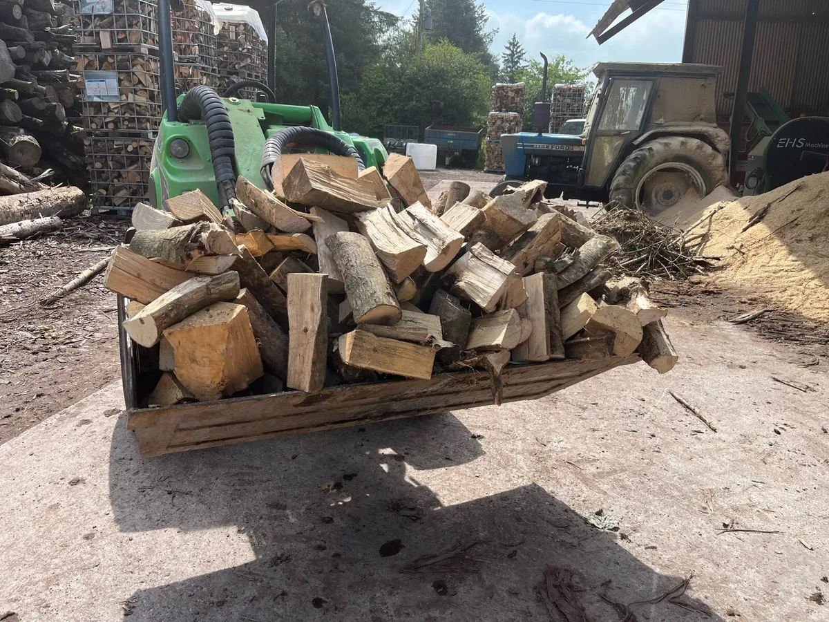 Firewood - Image 1