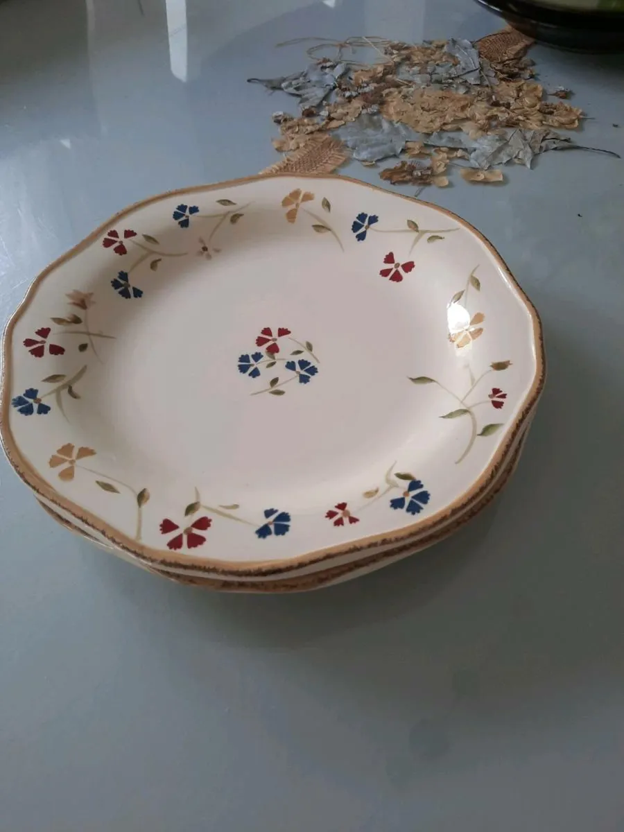 Two heavyweight dinner plates - Image 1