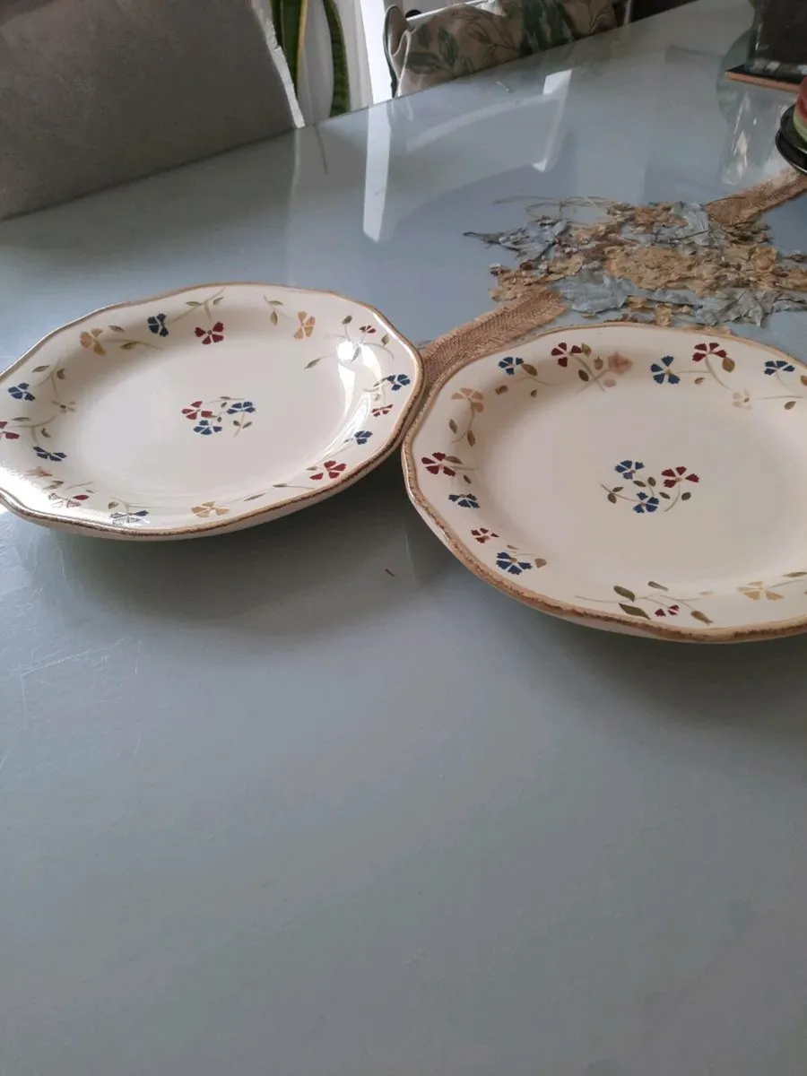 Two heavyweight dinner plates - Image 2
