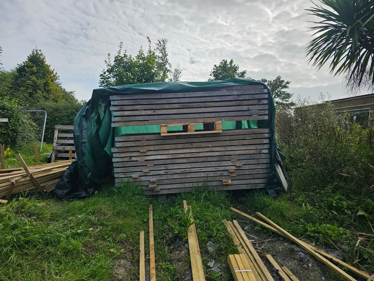 Scaffolding - Image 4