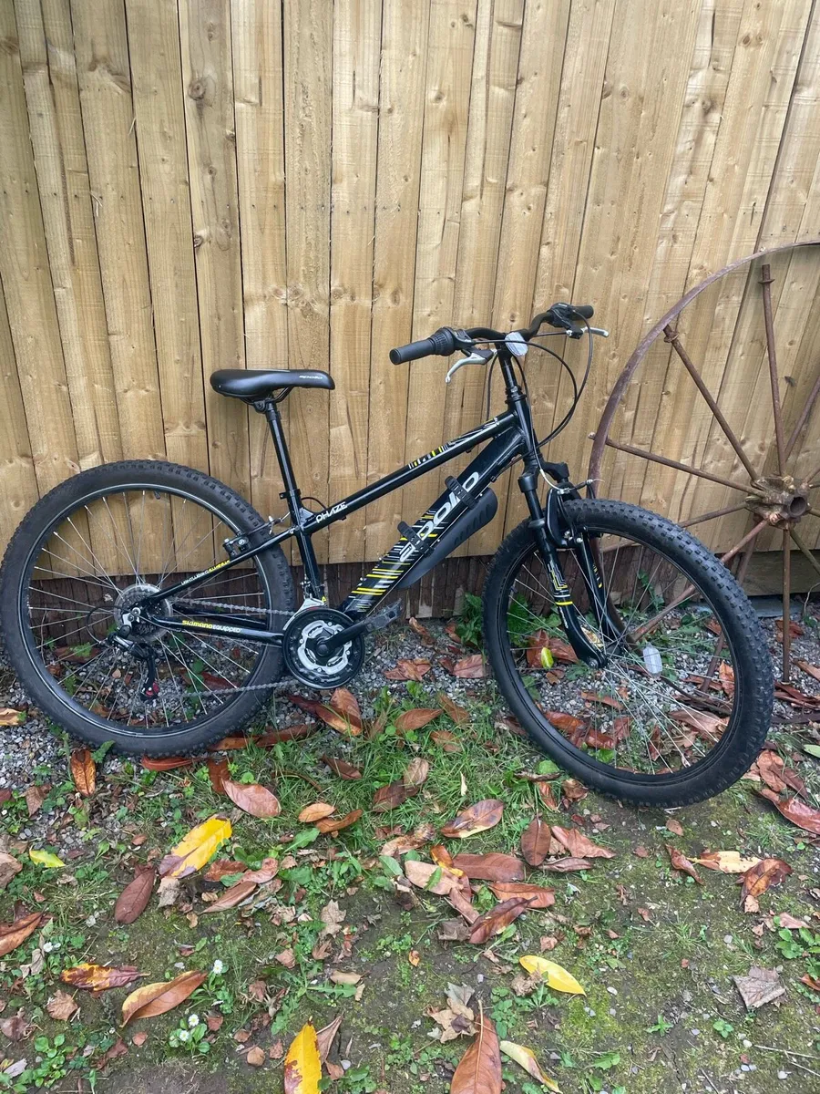 Bike - Image 1