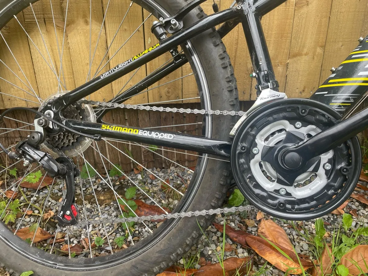 Bike - Image 2