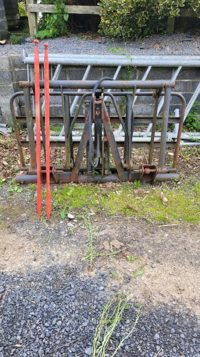 buckrake - Image 1