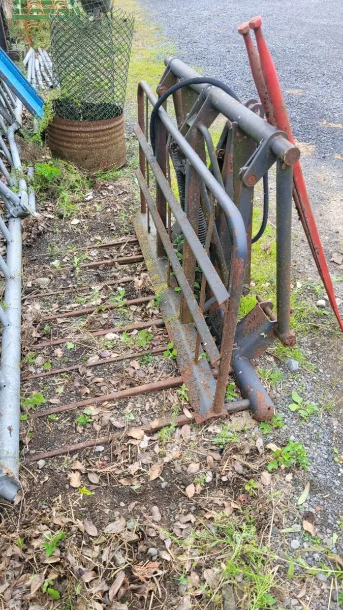 buckrake - Image 2