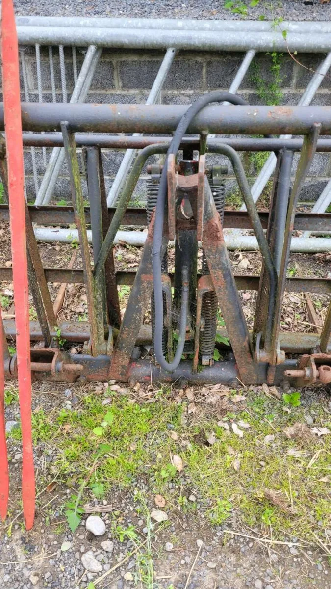 buckrake - Image 3