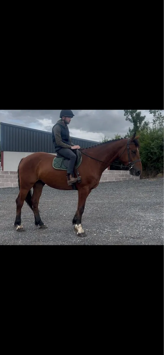 16.1 5 year old - Image 2