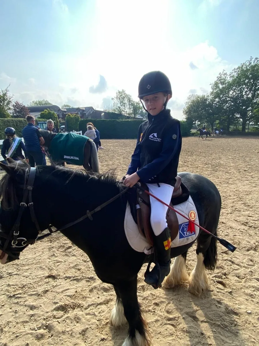 Max !!  Fantastic fun Little Cob . - Image 1