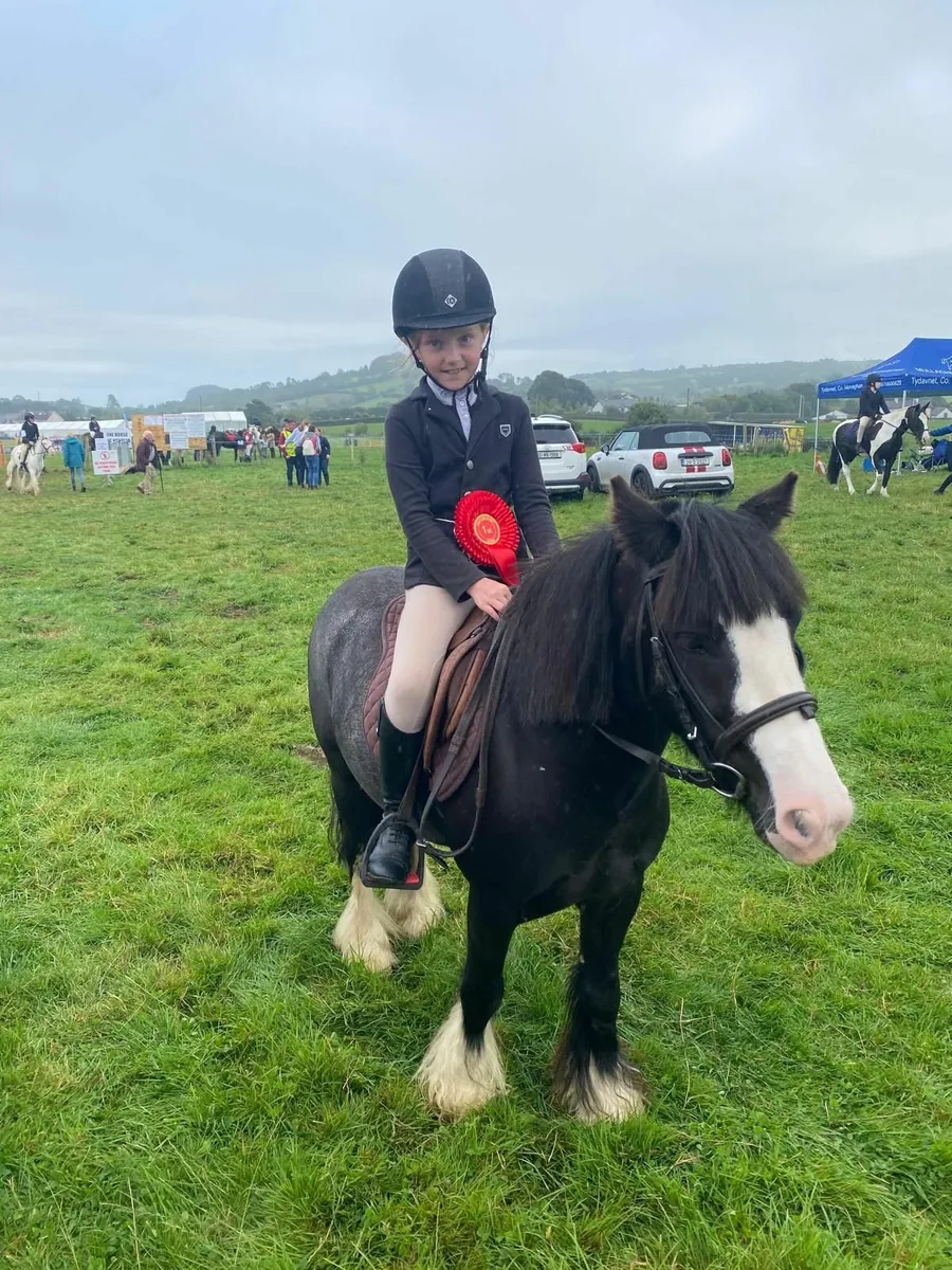 Max !!  Fantastic fun Little Cob . - Image 2