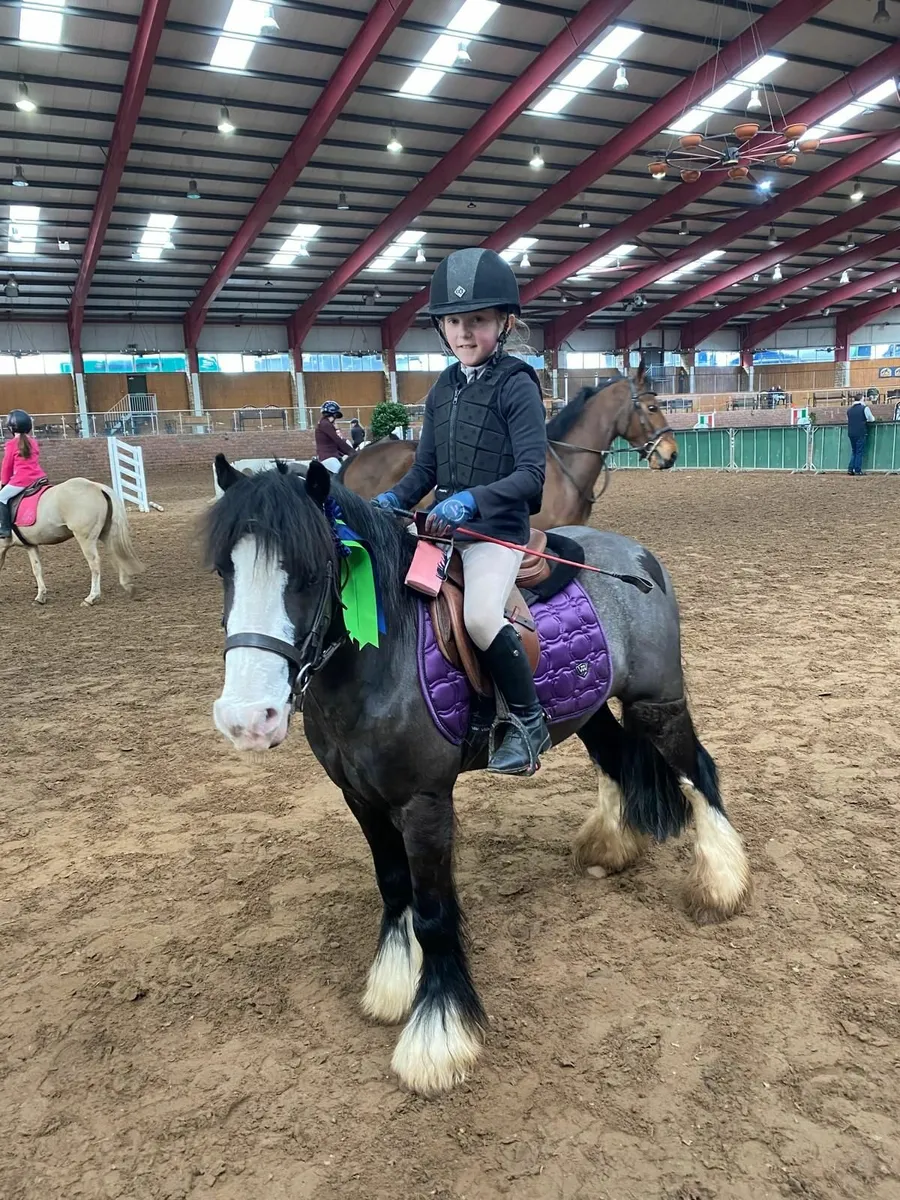 Max !!  Fantastic fun Little Cob . - Image 4