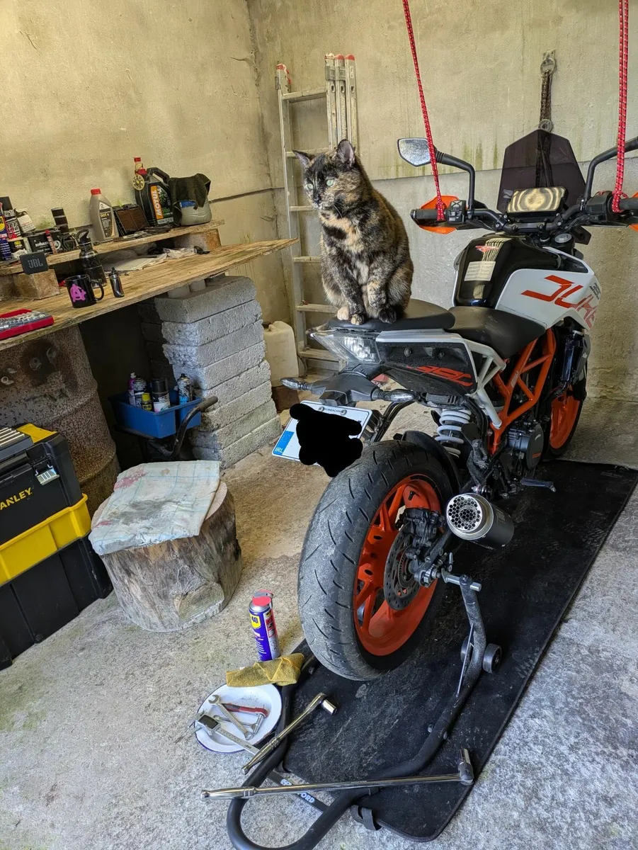 KTM Other 2017 - Image 4
