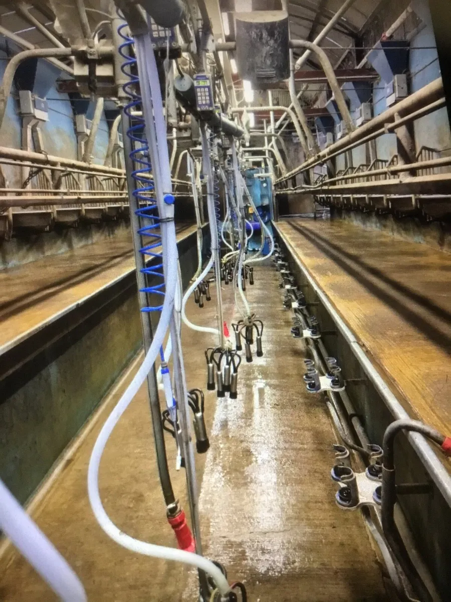 Milking parlours - Image 3