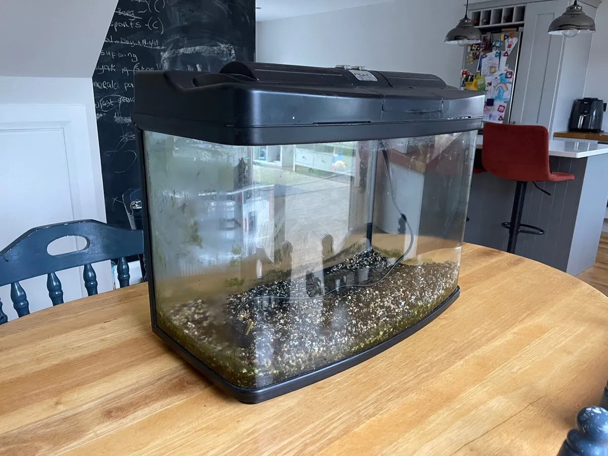 Large fish tank - Image 1