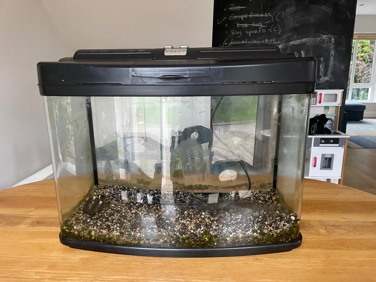 Large fish tank - Image 3