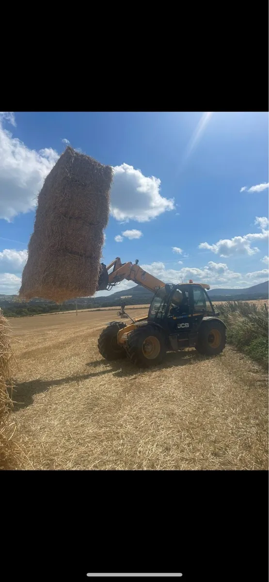 8x4x3/8x4x4 Barley Straw - Image 3