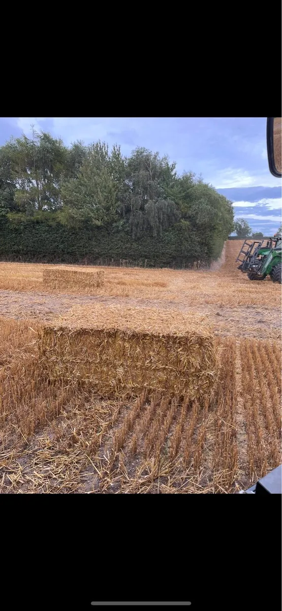 8x4x3/8x4x4 Barley Straw - Image 4