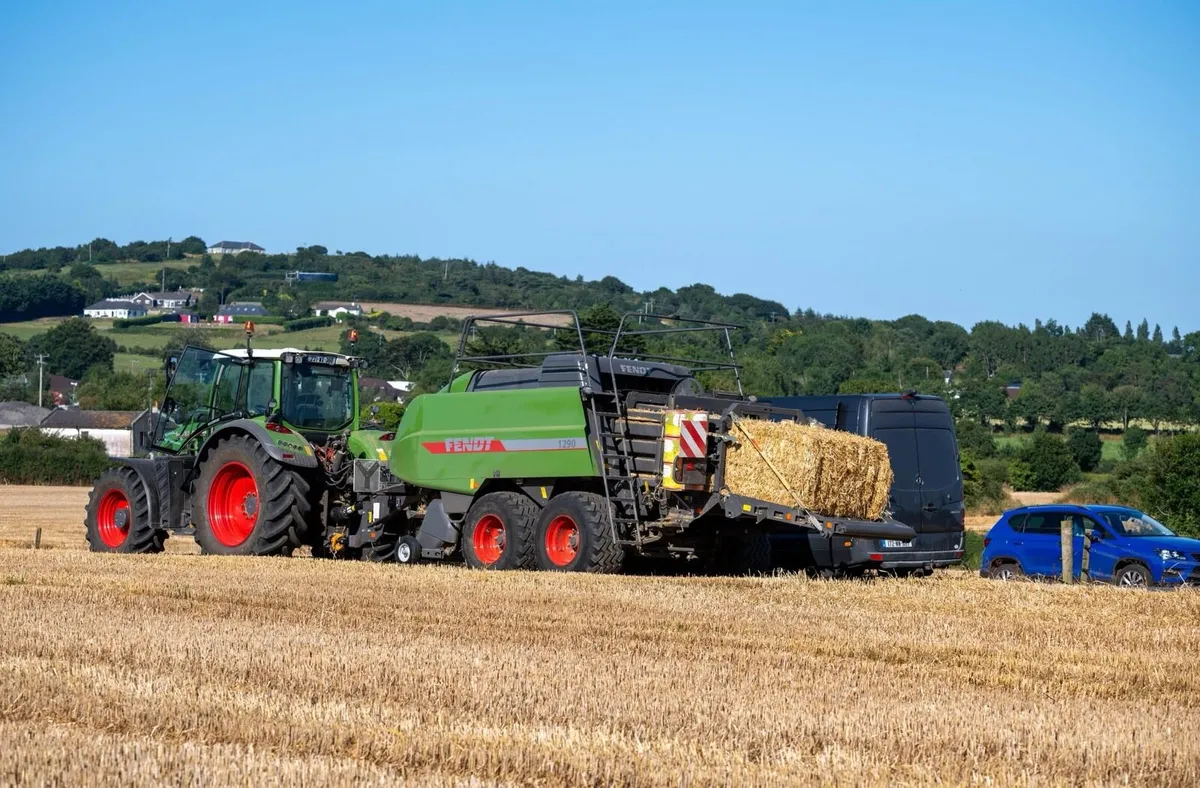 8x4x3/8x4x4 Barley Straw - Image 1