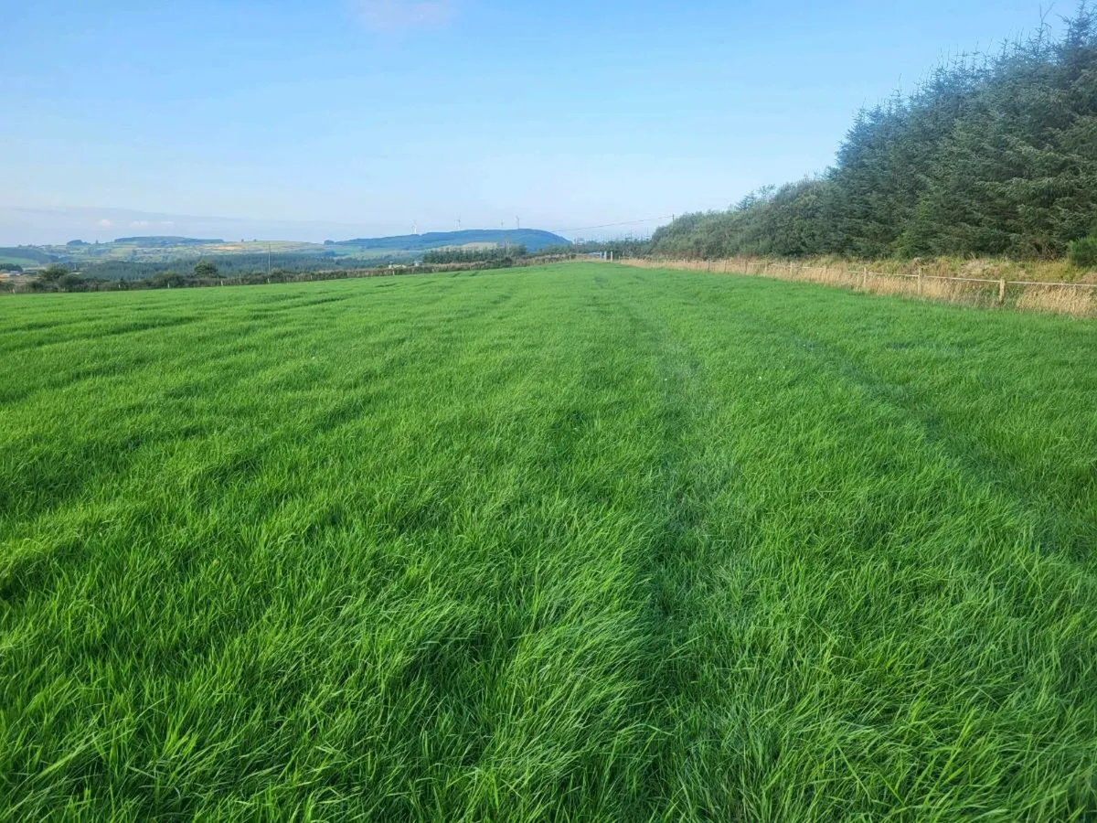 Land for sale - Image 1