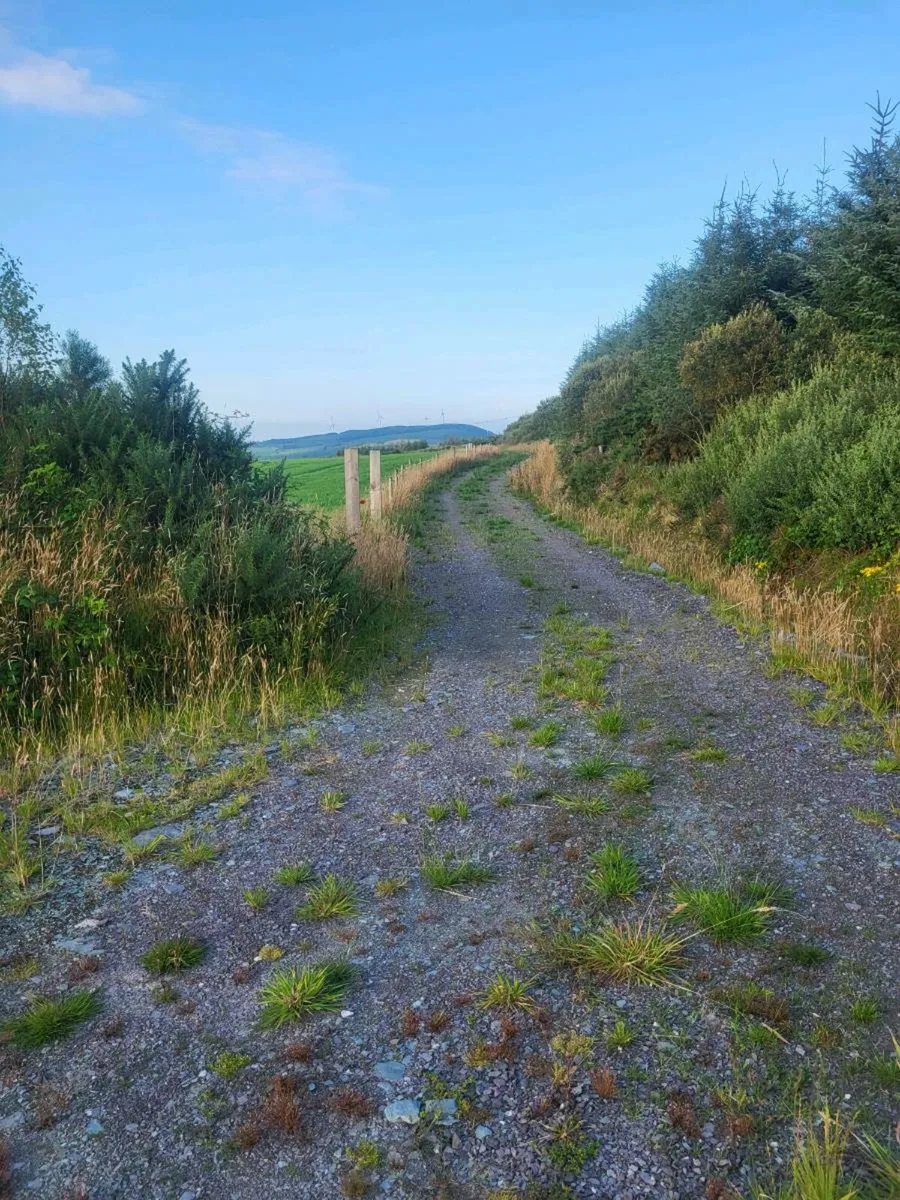 Land for sale - Image 2