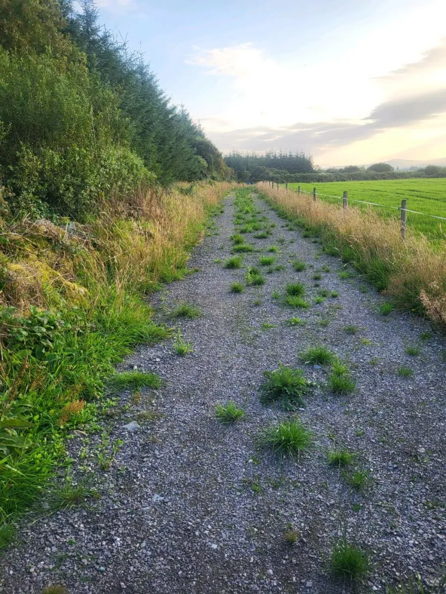 Land for sale - Image 4