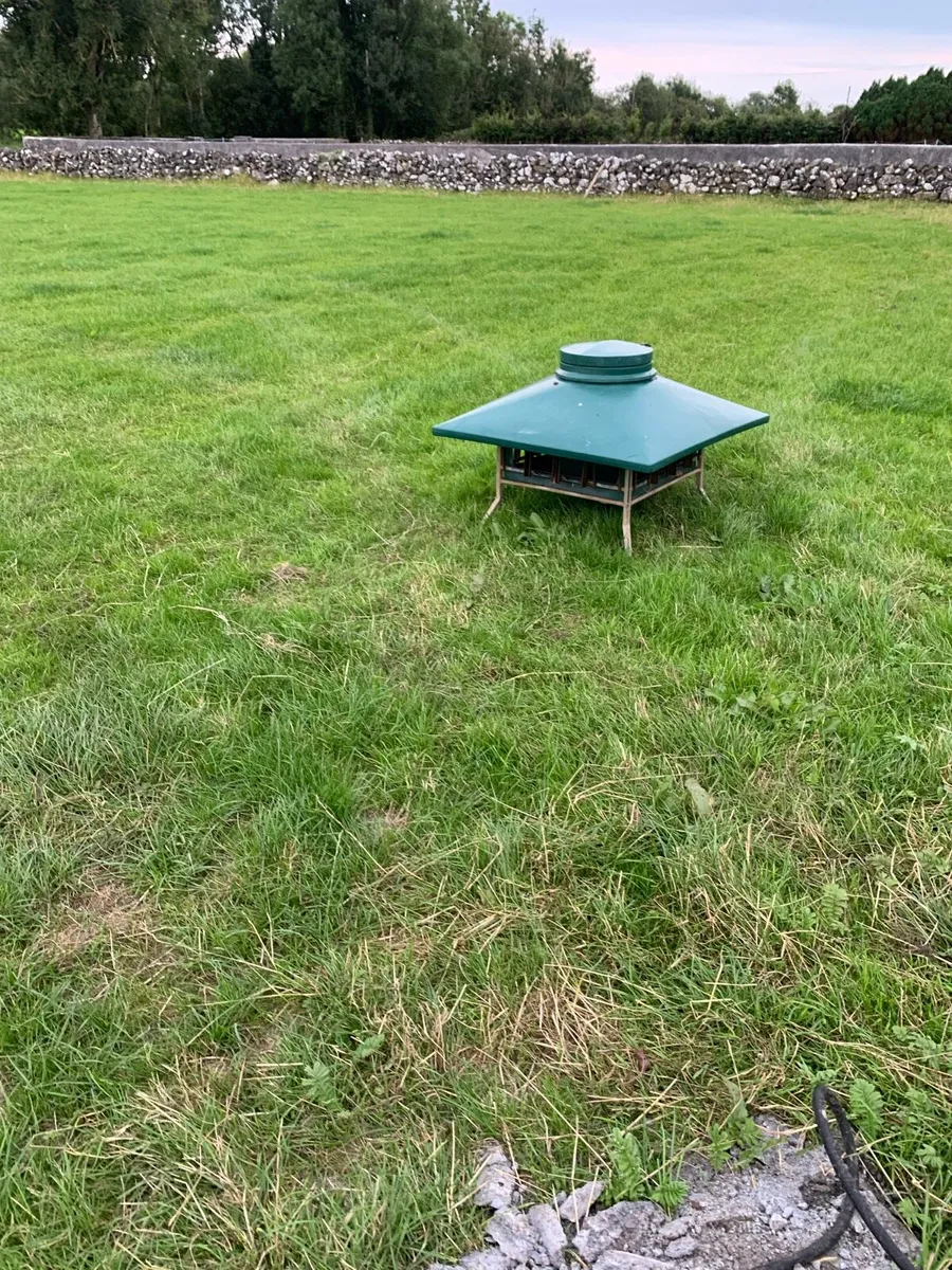 Sheep feeder - Image 2