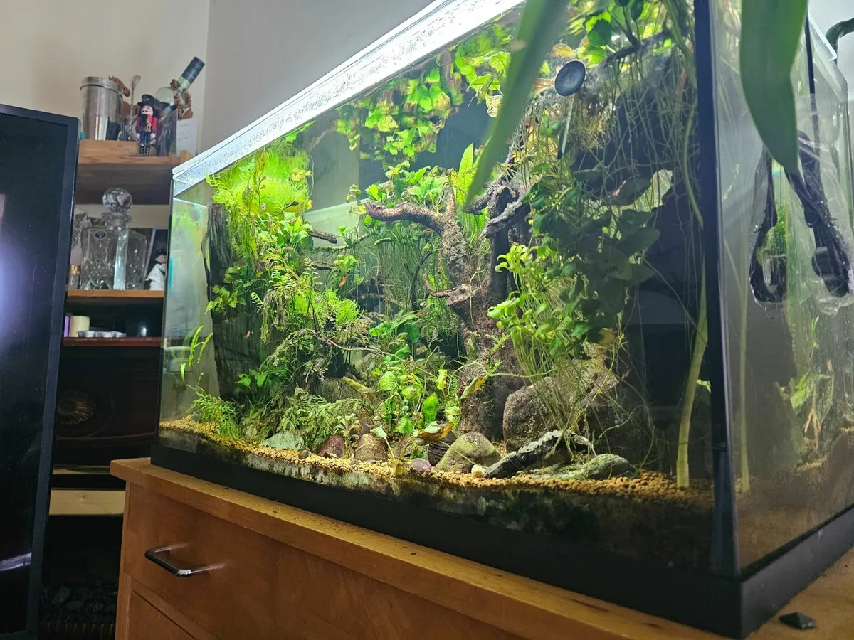 Fishtank