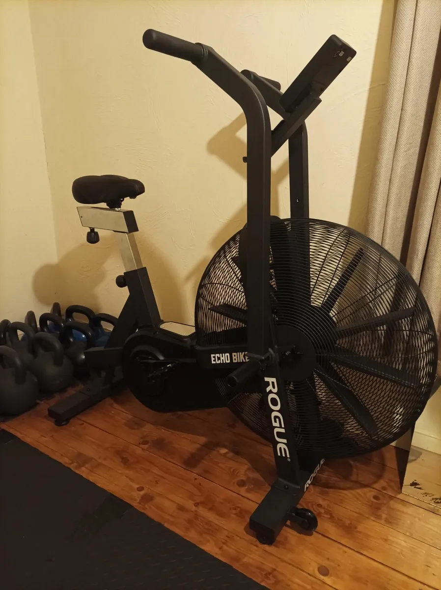 Rogue Echo Bike