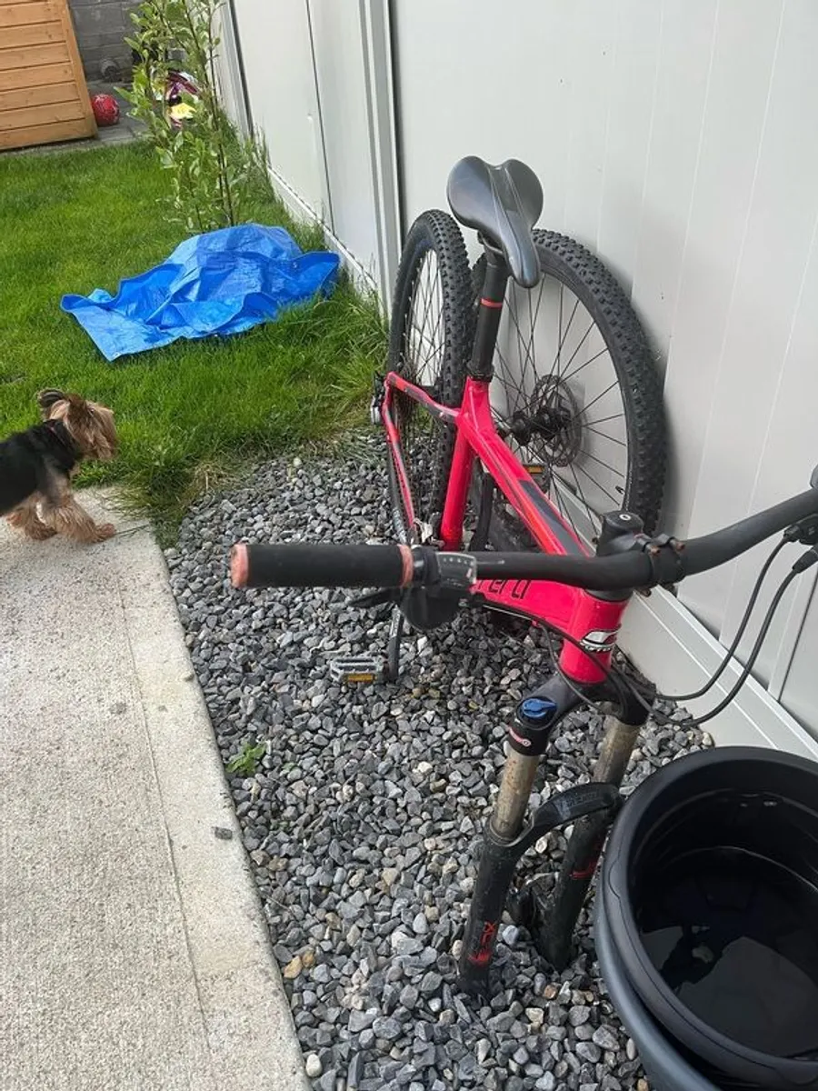Bike Carrera Kraken - Image 4