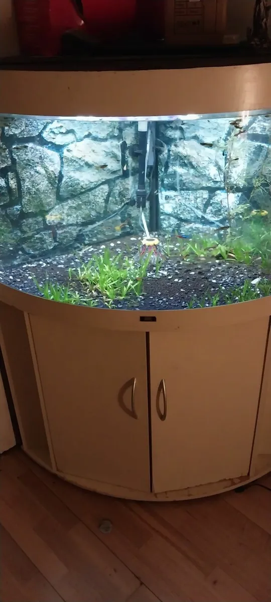 Live fish tank - Image 2