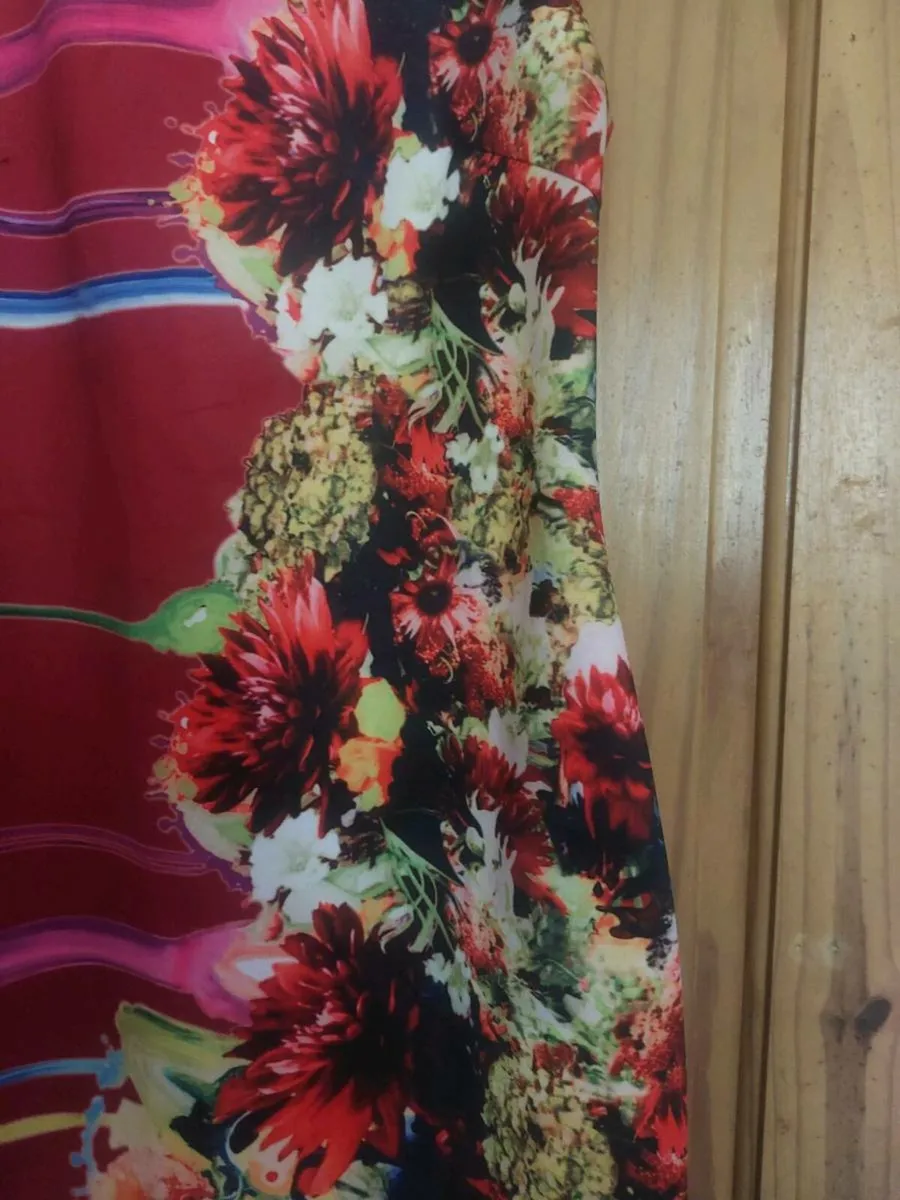 J and J red floral dress (free post) - Image 2