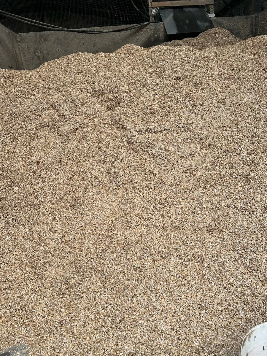 Rolled barley - Image 1