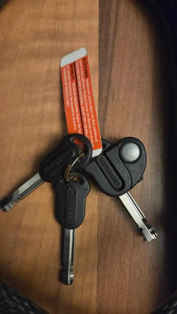 Kryptonite Evolution lock with cable - Image 4