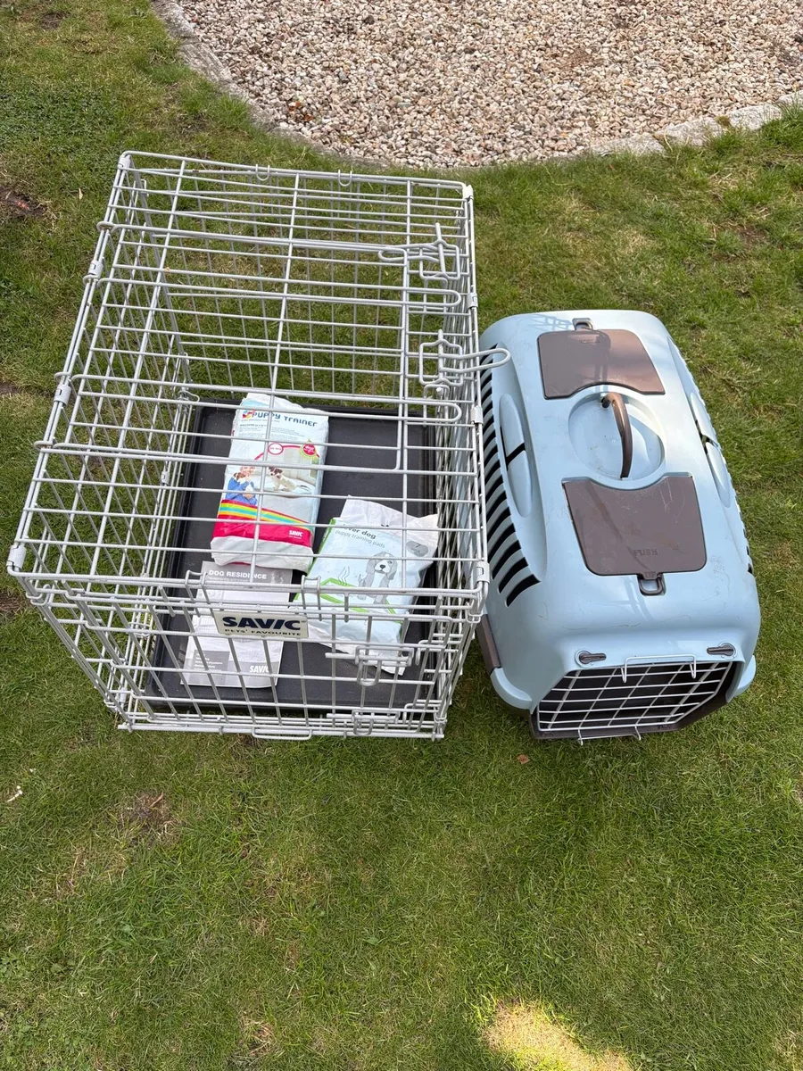 Dog Crate - Image 1