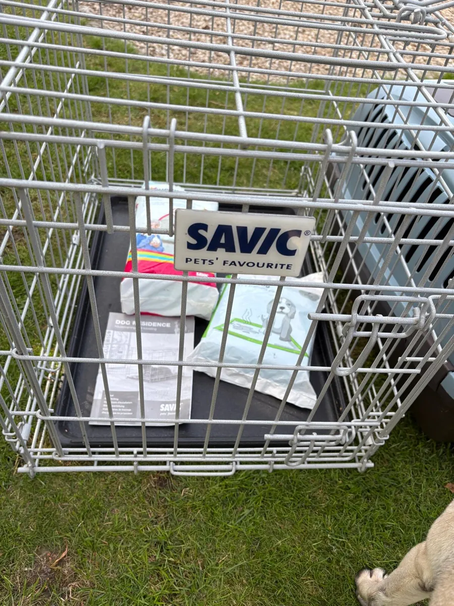 Dog Crate - Image 2