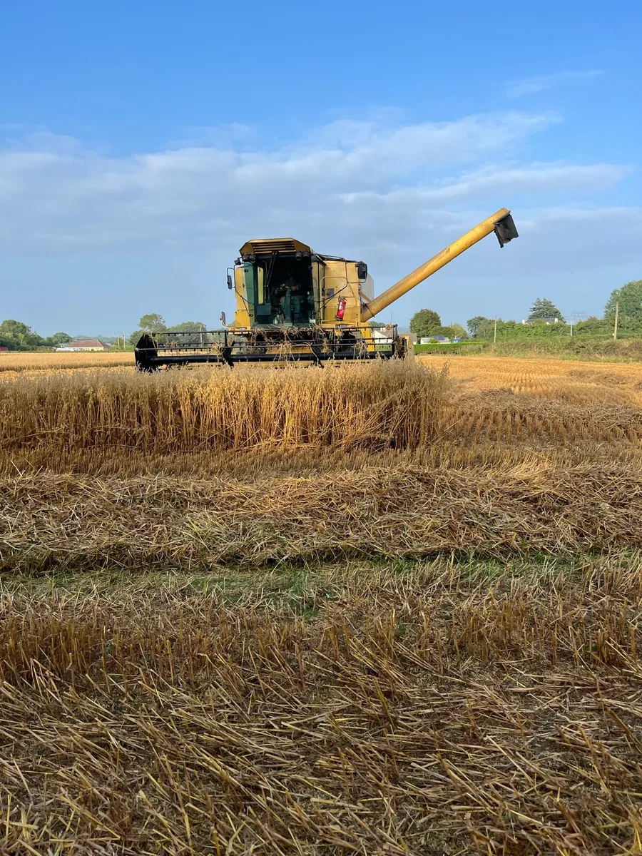 Combine harvester - Image 1