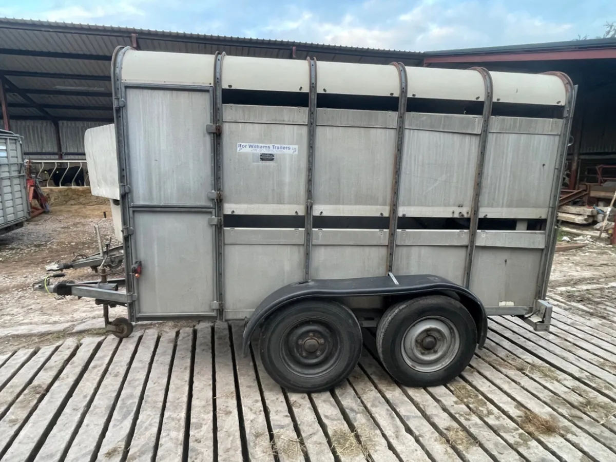Ifor Williams 10x5 cattle trailer - Image 1