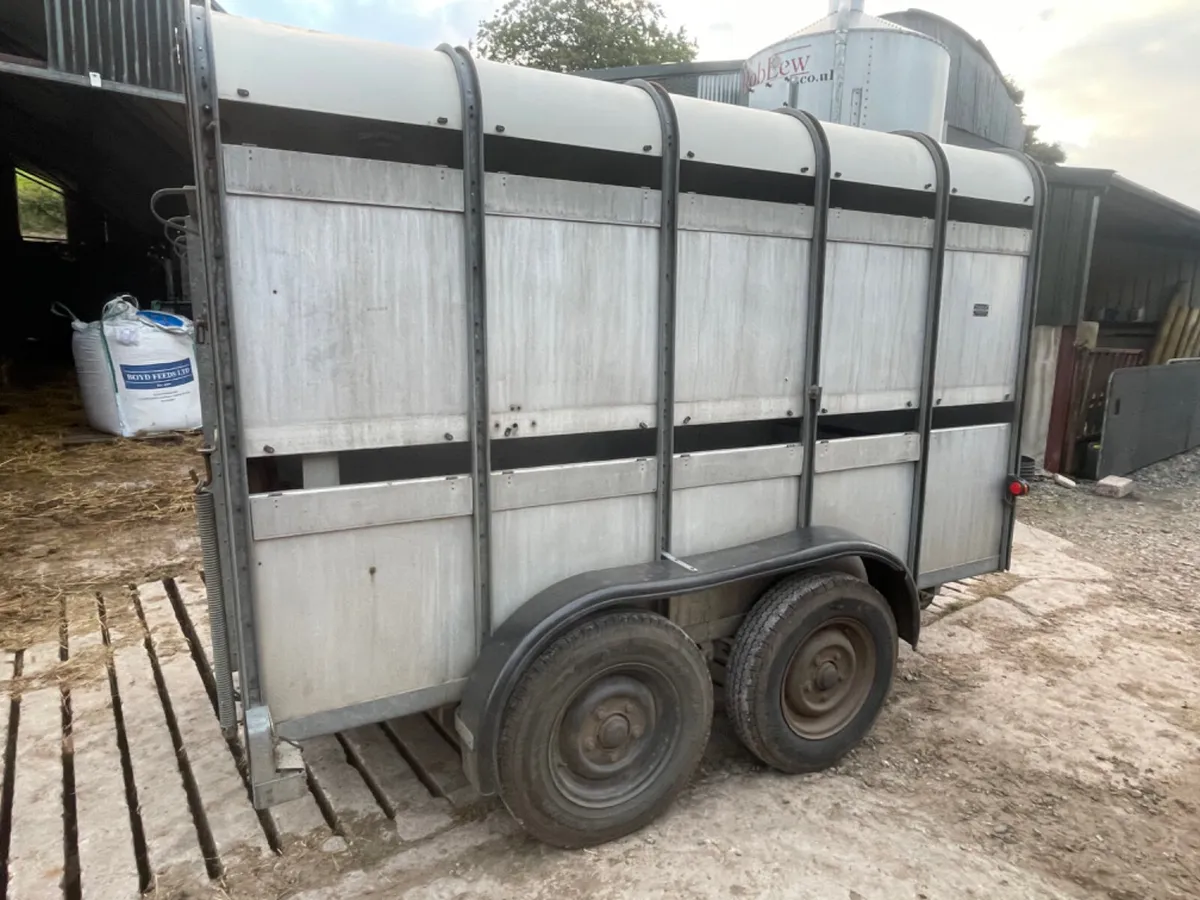 Ifor Williams 10x5 cattle trailer - Image 2