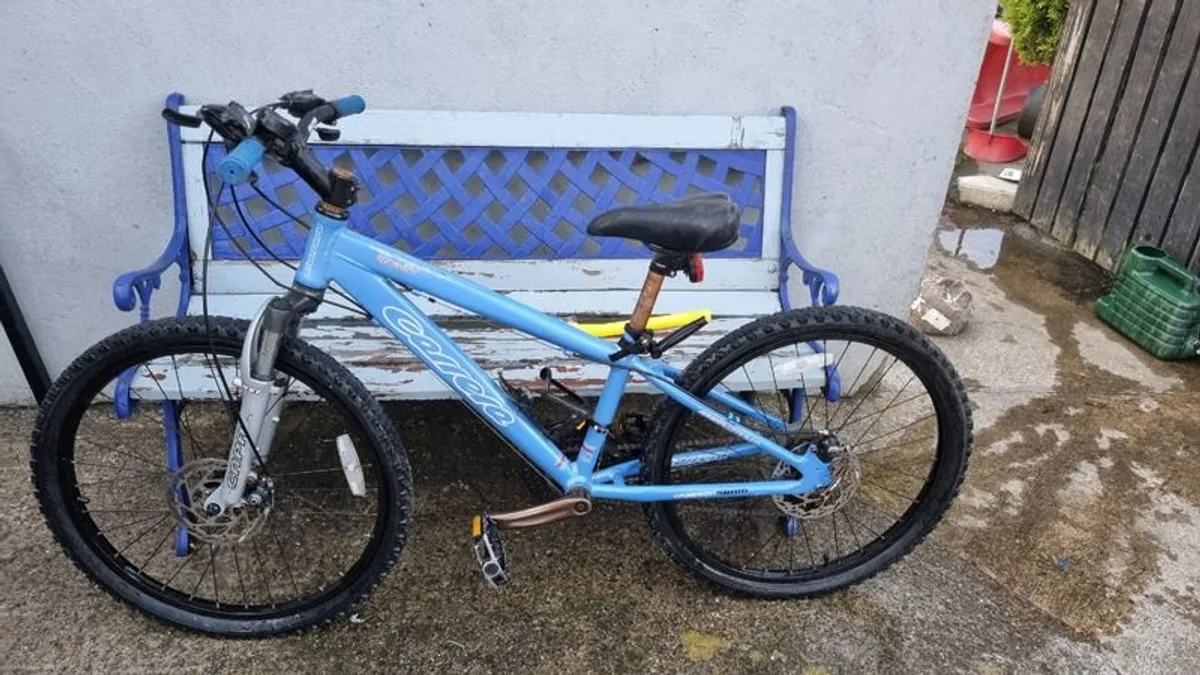 Bike - Image 1
