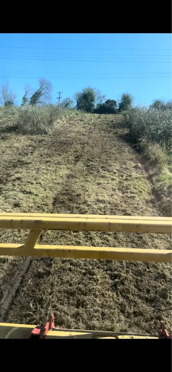 Site clearance mulching - Image 3