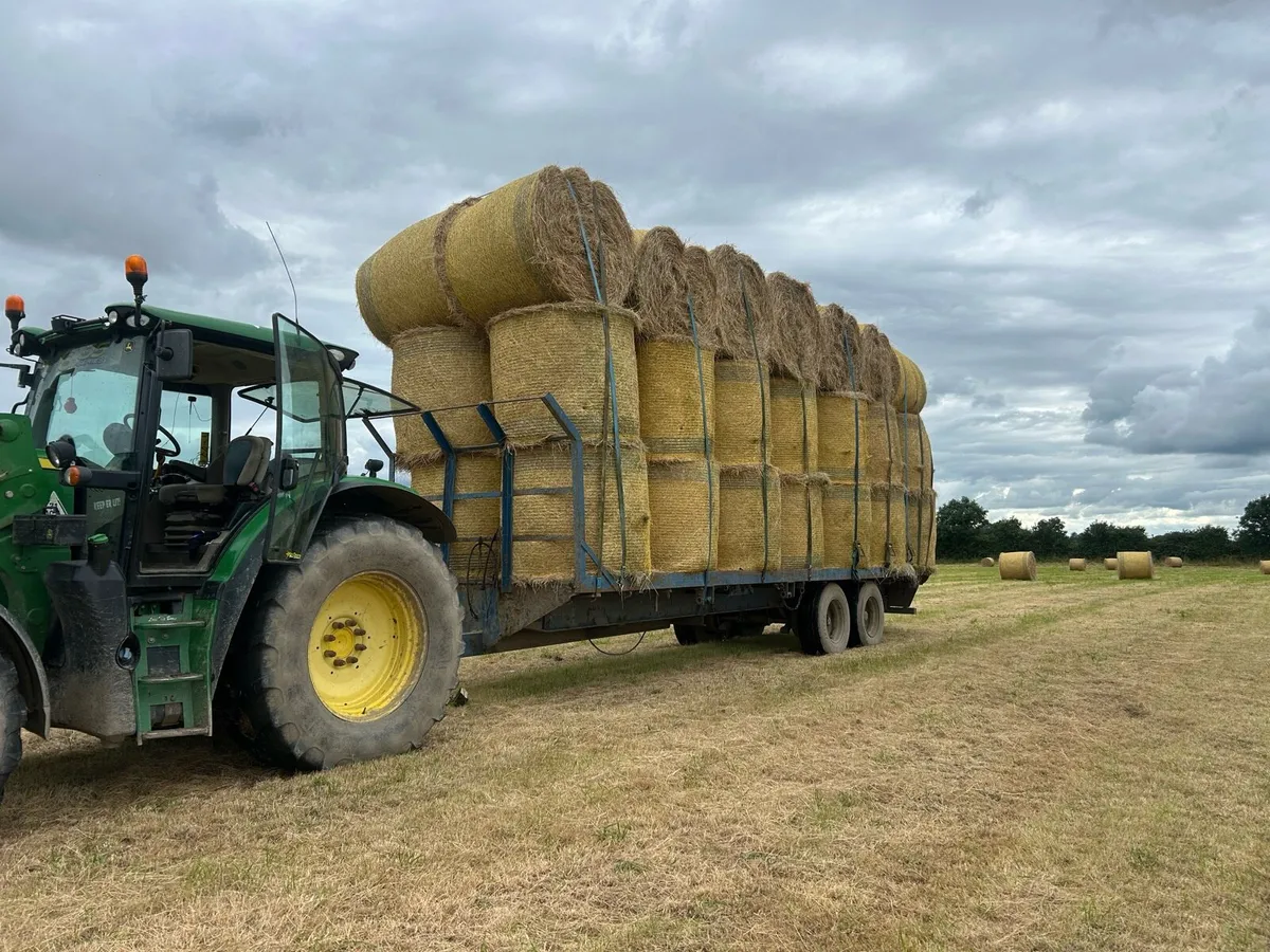 Top class 4/4 hay for sale - Image 2