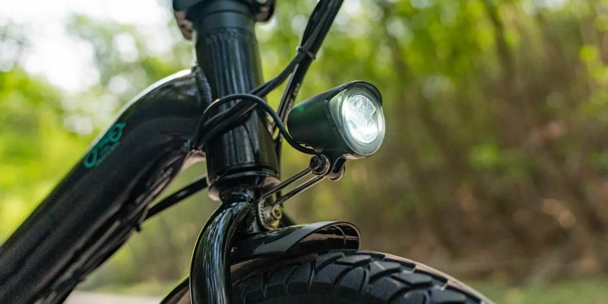 FIIDO D3 PRO Electric Bike w/mudguard & light - Image 2
