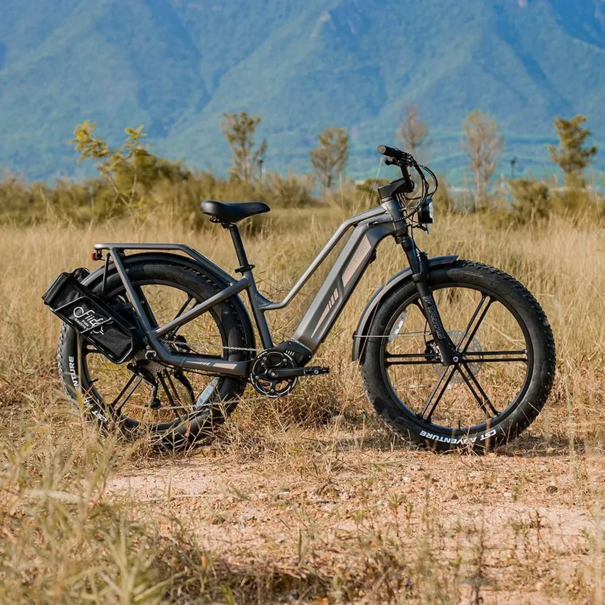 Titan Step Thru Cargo Electric Bike - Image 3