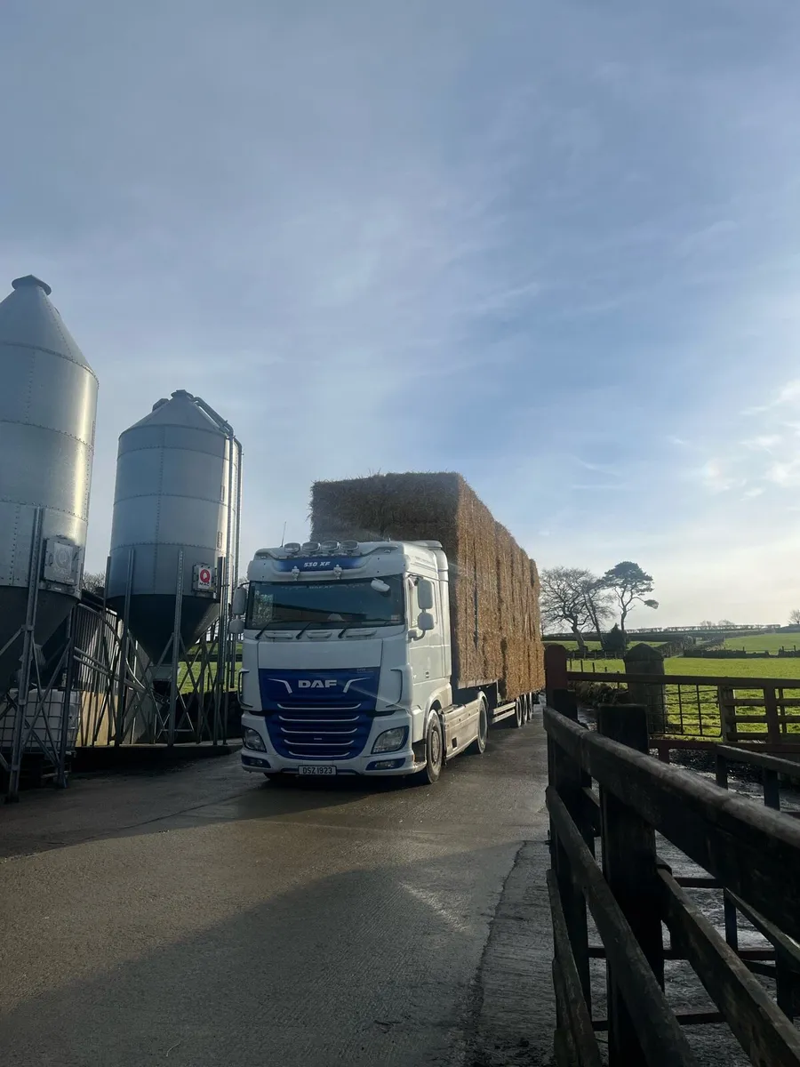 New season 2025 Barley and Wheat straw. - Image 1