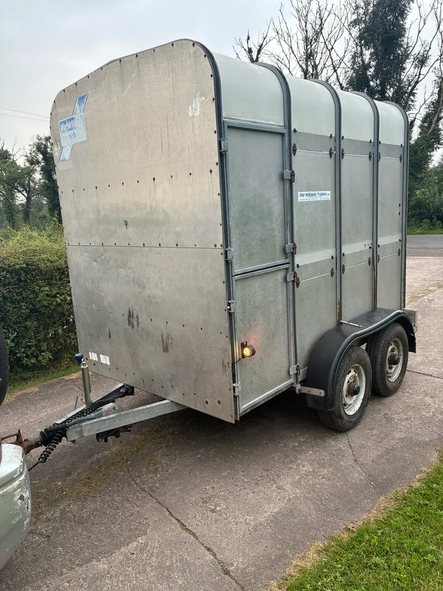 Ifor Williams Cattle / Horse trailer High Roof - Image 2