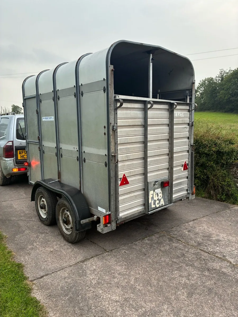 Ifor Williams Cattle / Horse trailer High Roof - Image 3