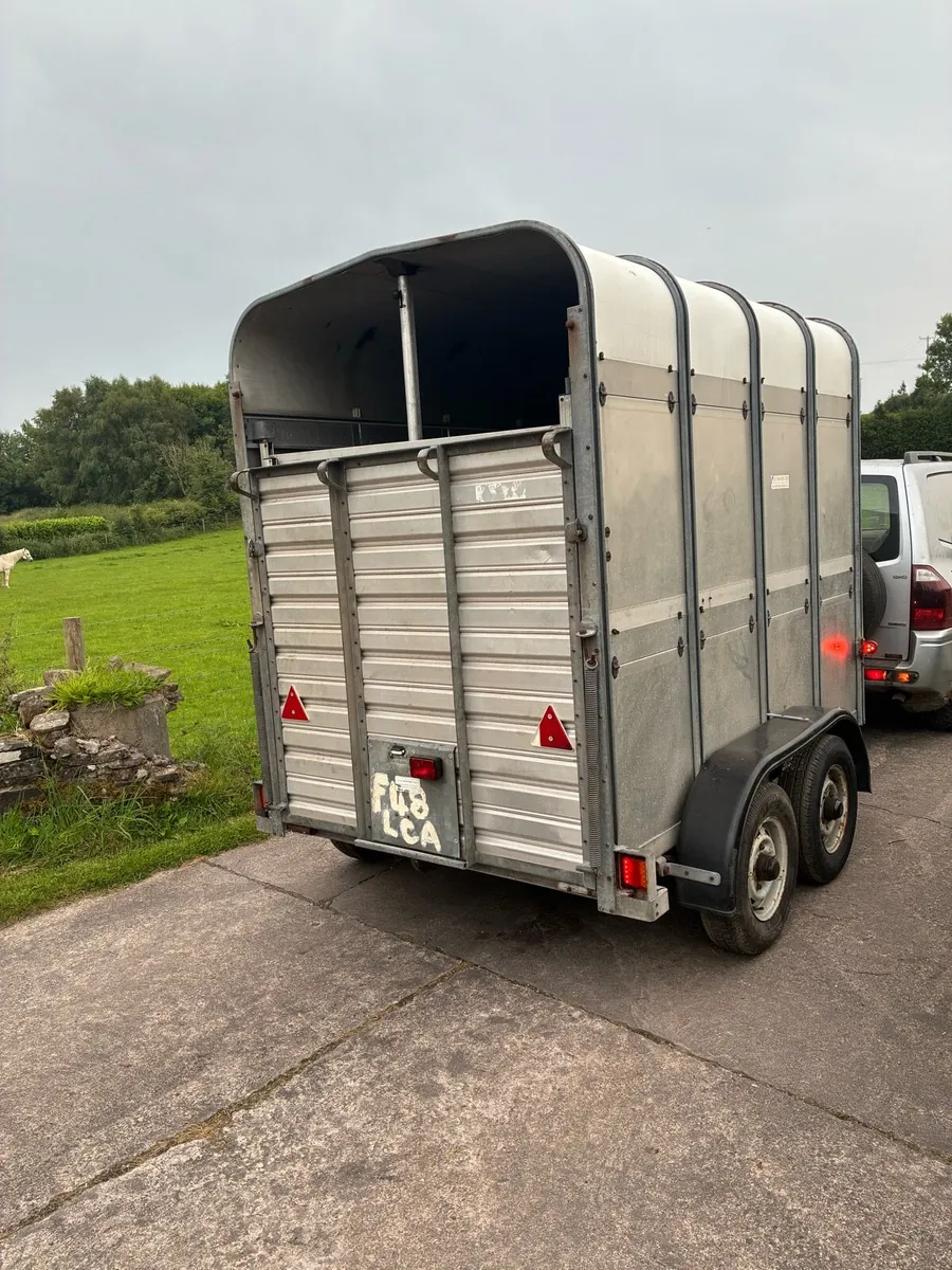 Ifor Williams Cattle / Horse trailer High Roof - Image 4