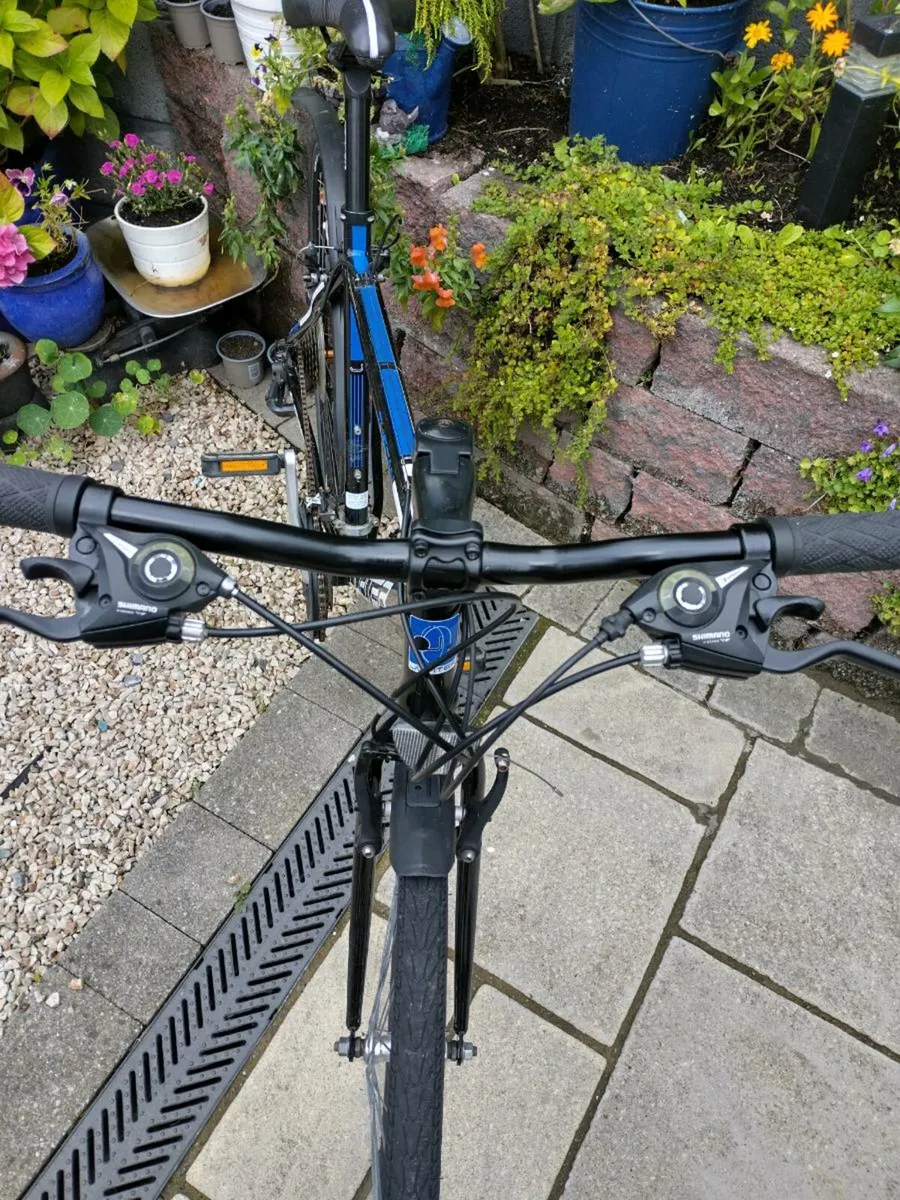 Bike - Image 1
