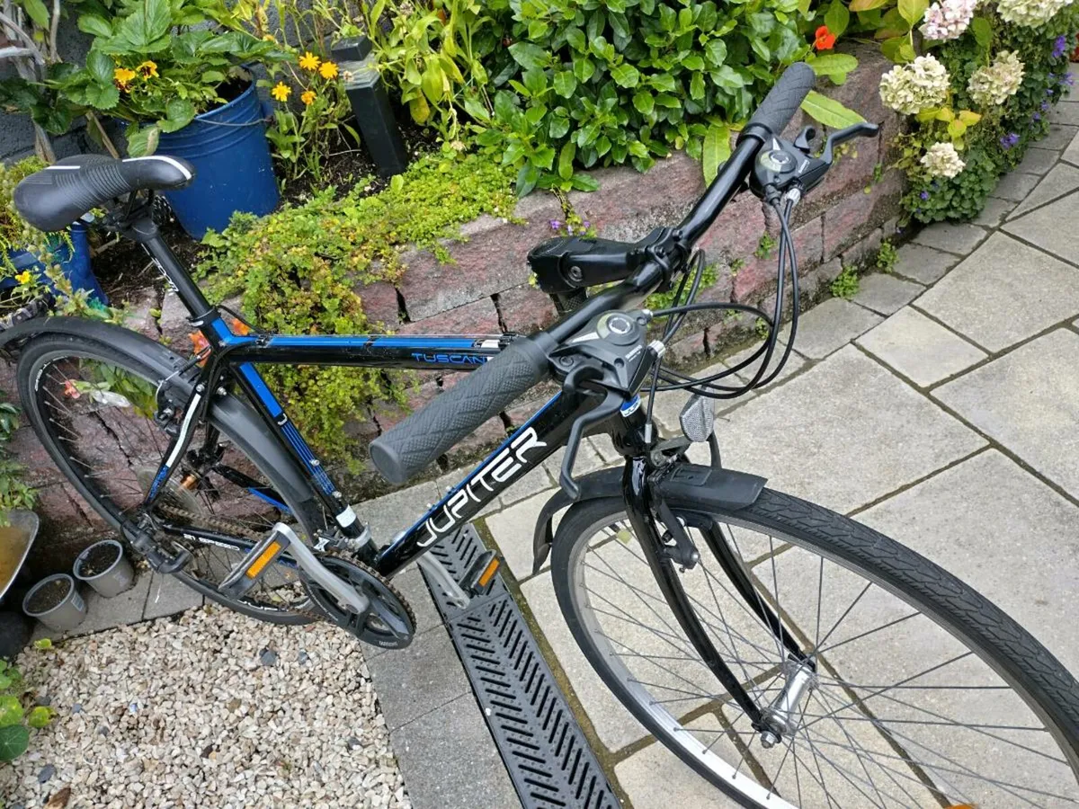 Bike - Image 2